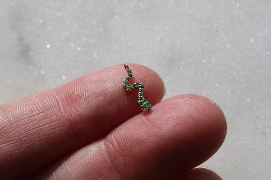 Snake Charm