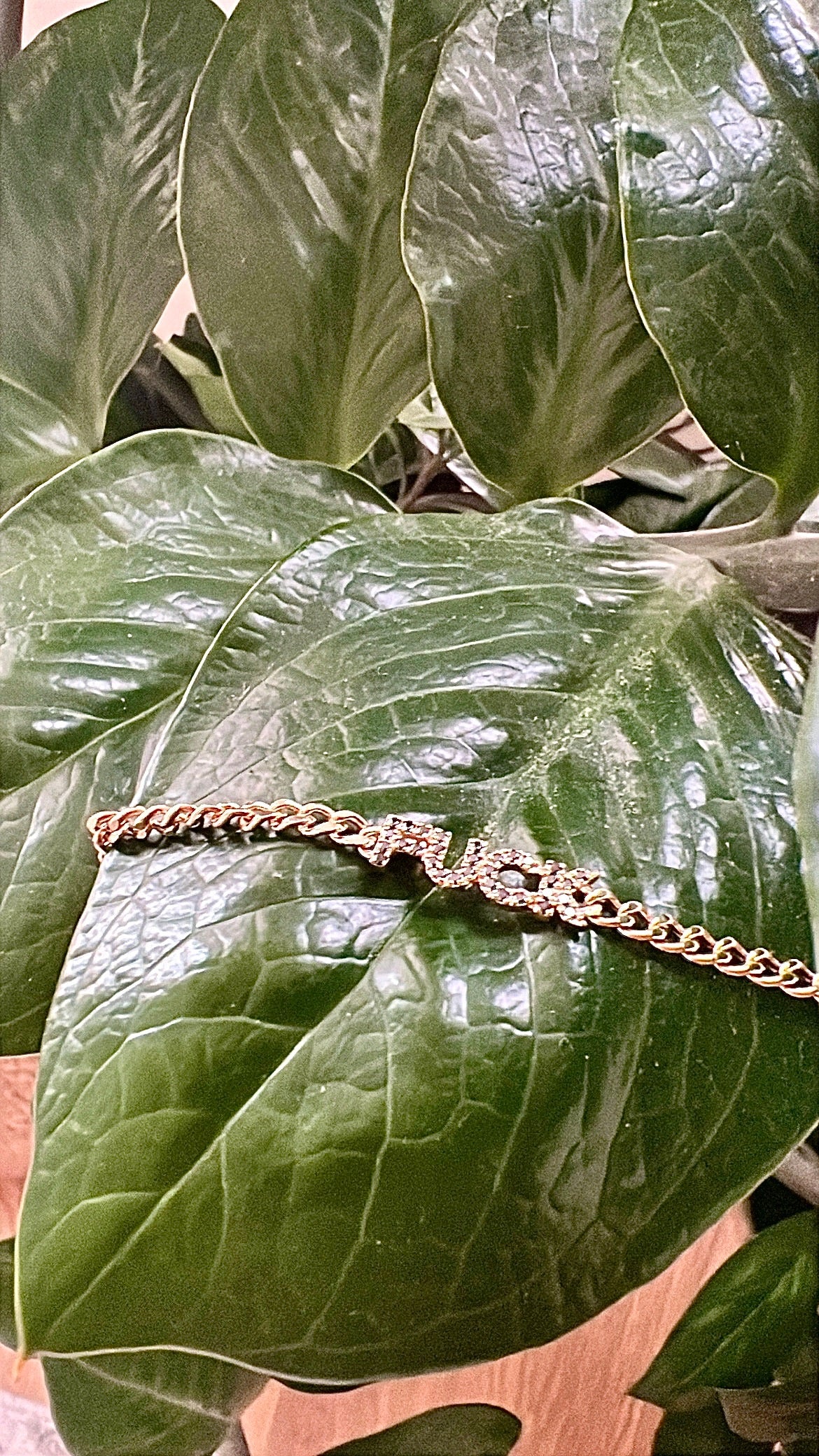 Black Diamond FUCK Bracelet