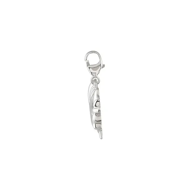Armadillo Charm