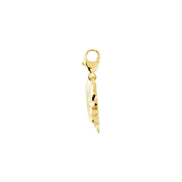 Armadillo Charm